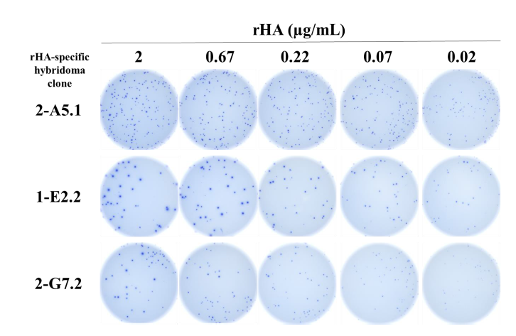 supplemental figure 1