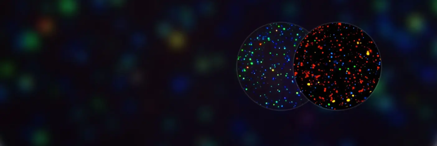 Leading immune monitoring for over 25 years